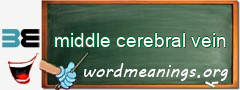 WordMeaning blackboard for middle cerebral vein